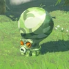102 Forest Octorok