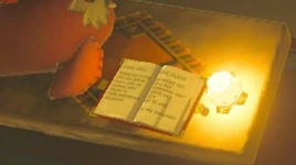 Chief's Diary