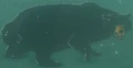 Honeyvore Bear