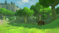 A screenshot released during E3 2016 showing a Woodland Boar in the Forest of Spirits