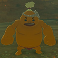 BotW Bayge Model.png