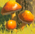 Sunshroom