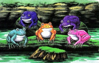 Frog group