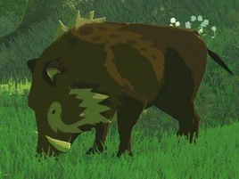 BotW Woodland Boar Model