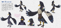 BotW Harth Concept Artwork.png