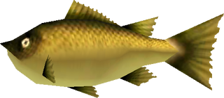 Fish Zelda Wiki Welcome to my ebay store. fish zelda wiki