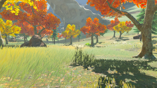 BotW North Akkala Valley