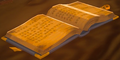 BotW Book Model 2.png