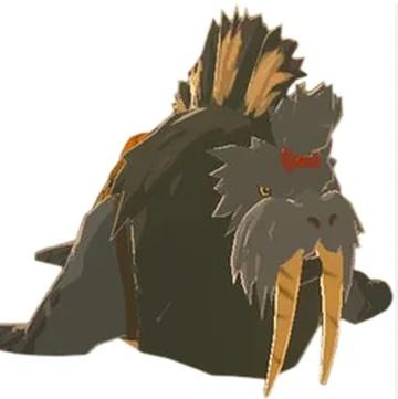 Zarashi - Zelda Wiki