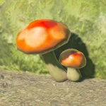 BotW Hyrule Compendium Hylian Shroom