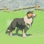 BotW Hyrule Compendium Hylian Retriever