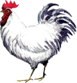 OoT cucco artwork.png