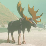 BotW Hyrule Compendium Tabantha Moose