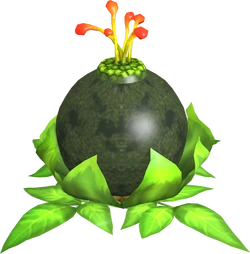 Bomb Flower - Zelda Wiki