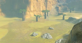 BotW Nautelle Wetlands