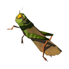 Where to buy restless crickets sale