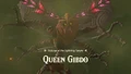 Scourge of the Lightning Temple War in the Depths of Hyrule Queen Gibdo (Lightning Temple) (Gerudo Desert)