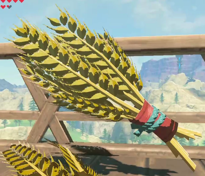 Hgogjp2dixybbm So i am doing recital at warbler's nestand the ancient ruto song. https zelda fandom com wiki tabantha wheat