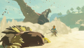 Link riding a Sand Seal while fighting a Molduga from Breath of the Wild