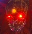 Calamity Ganon's face