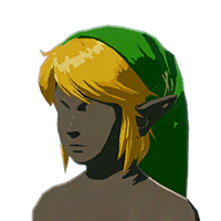 HWAoC Hyrule Warrior's Cap Icon.png