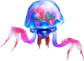 OoT Bari Artwork.png