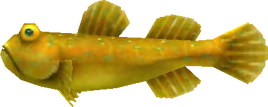 MM3D Goodta Goby Model