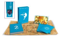 BotW Creating a Champion Hero's Edition