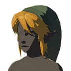 BotW Cap of Twilight Icon.png
