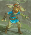 Link wearing the Bokoblin Mask in Breath of the Wild