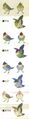 BotW Sparrows Concept Artwork.jpg