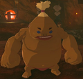 BotW Bladon Model.png