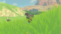 Link sneaking up to a Horse in Breath of the Wild