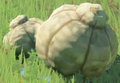 BotW Big Hearty Truffle Model.png