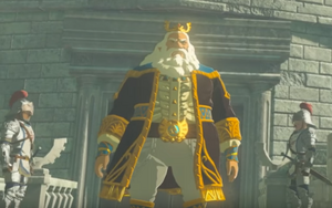 BotW King and Guards