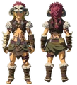 Link wearing the Barbarian Set