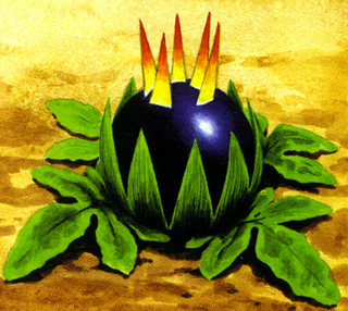 Flower bomb flowers hot sale