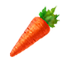 HWDE Carrot Food Icon