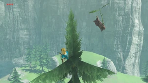 BotW Akkala Highlands Korok