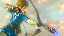 Champion's - Zelda Wiki