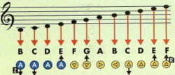 OoT] Fun Fact: the in-game ocarina is an actual instrument that can play  real songs. This page from the Official Nintendo Player's Guide explains  how it works, and gives you the inputs