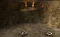 Skulltula in the Cave of Ordeals from Twilight Princess