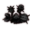 Dark Manhandla