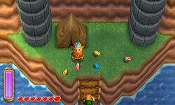 ALBW Bird Lover and Birds.jpg