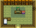 The interior of the Biologist's Home from Oracle of Seasons