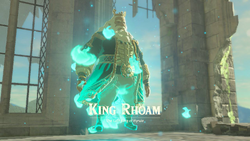 BotW King Rhoam Introduction