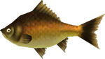 Fish - Zelda Wiki