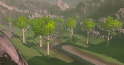 pics Lanayru Road East Gate Location lanayru road east gate zelda wiki