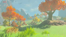 BotW Akkala Wilds