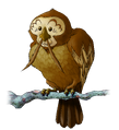 OoT Kaepora Gaebora Artwork 2.png